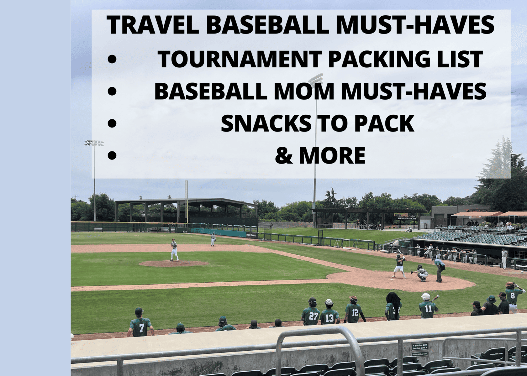 travel baseball must haves