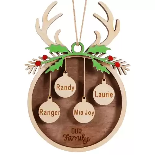 Personalized Christmas Ornaments Gift with Family Names, Handmade 2023 Christmas Tree Ornament, 2023 Xmas Custom Name Wooden Decorations, Cute Hanging Tags with Small Rope (Green Branches, 4 Names)