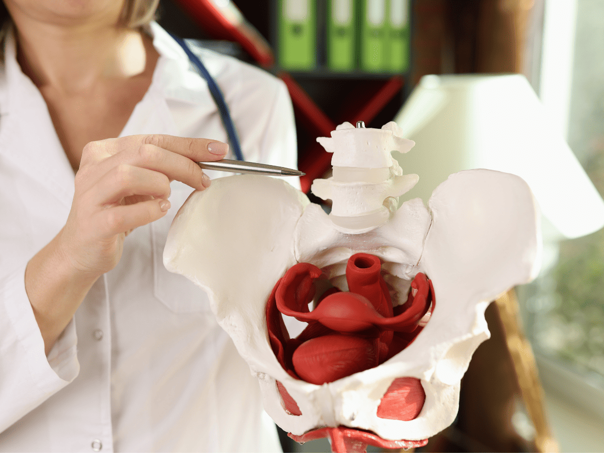 pelvic health