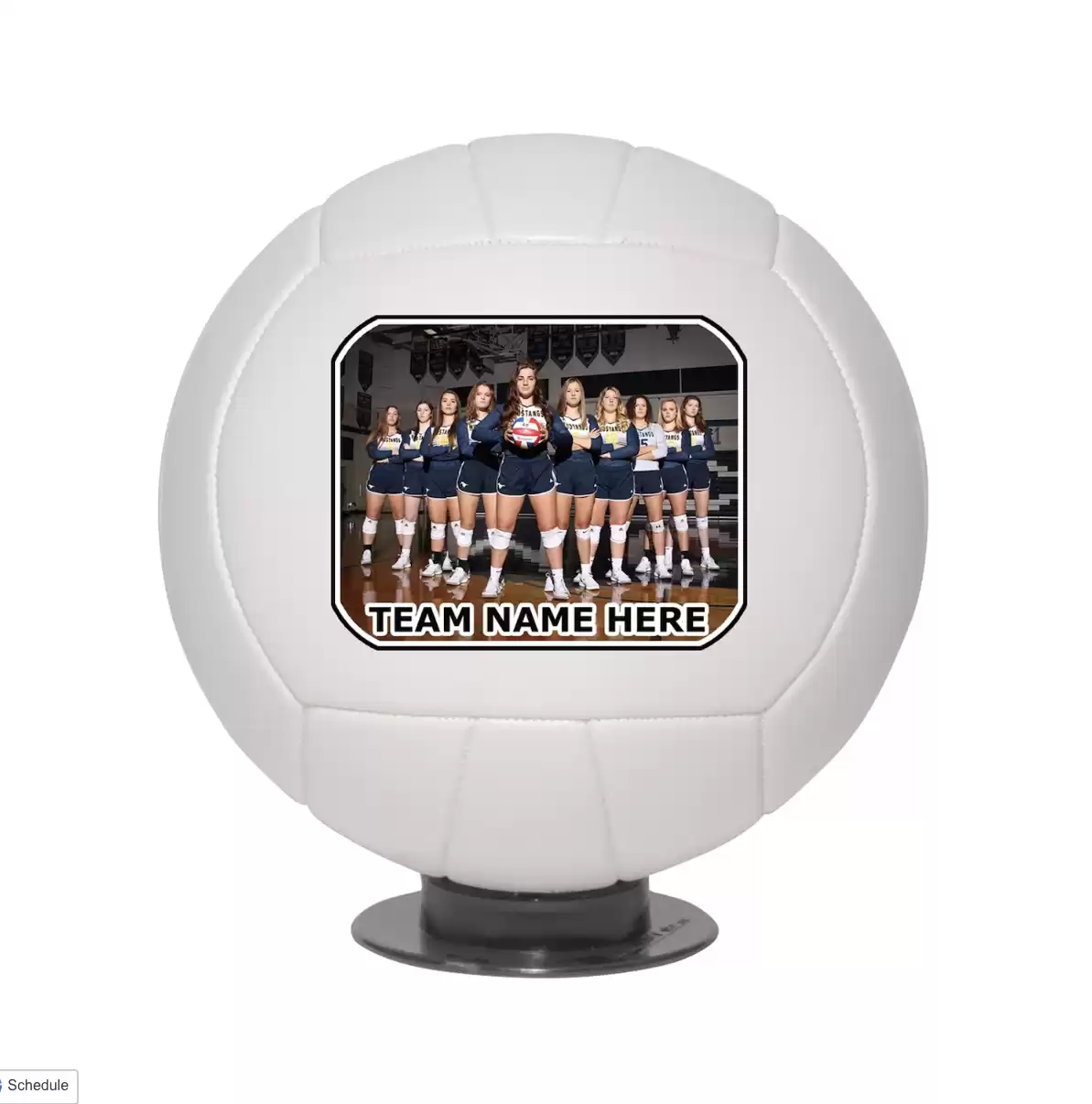 Custom Personalized Volleyball