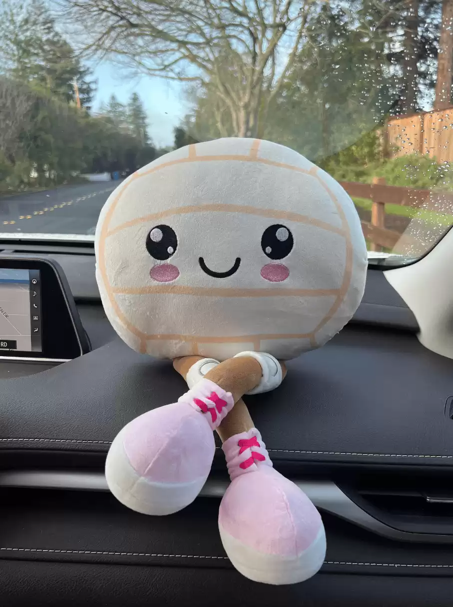 Plushie Volleyball