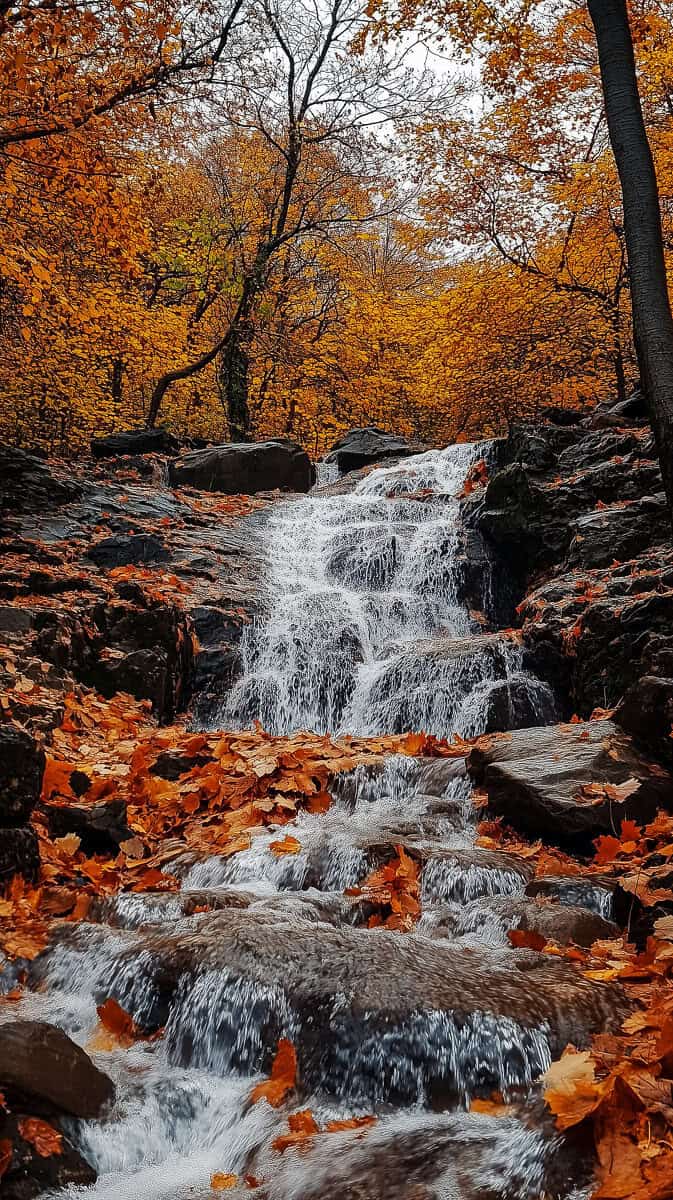 waterfall in fall