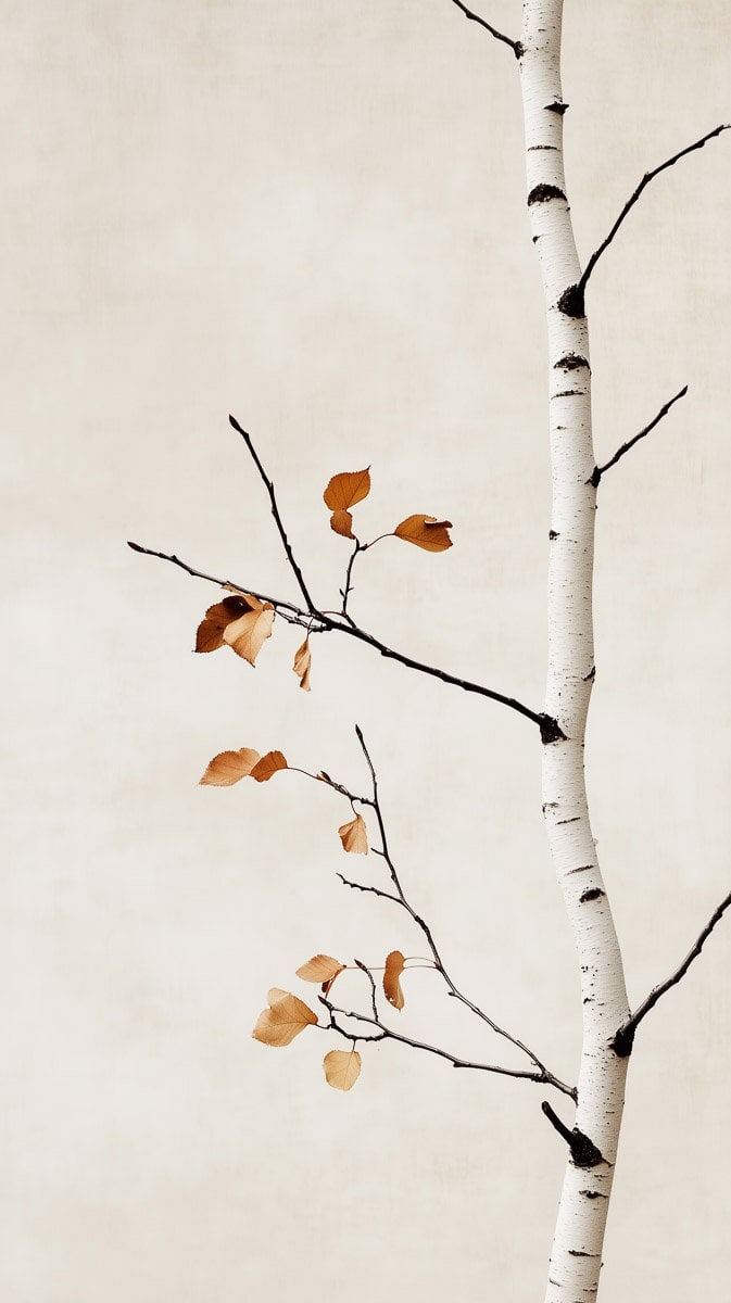 minimalist winter wallpaper-05 | Fit Fun And Over 40 Best Nature Wallpapers