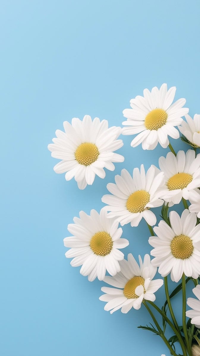 Spring wallpaper blue-09