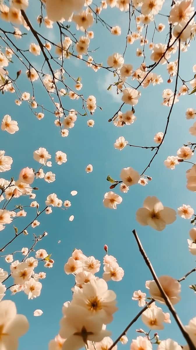 Spring wallpaper blue-28
