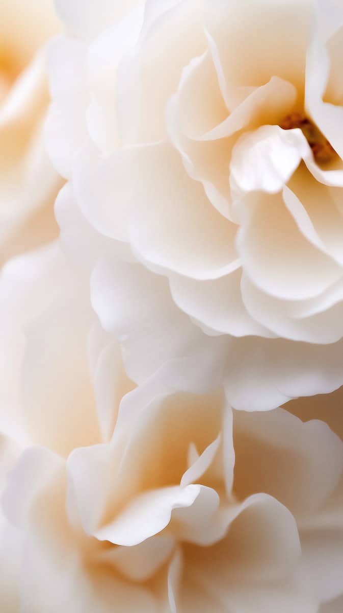 Spring wallpaper flowers-12