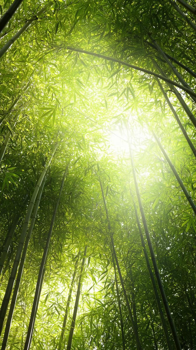 Spring wallpaper green-08
