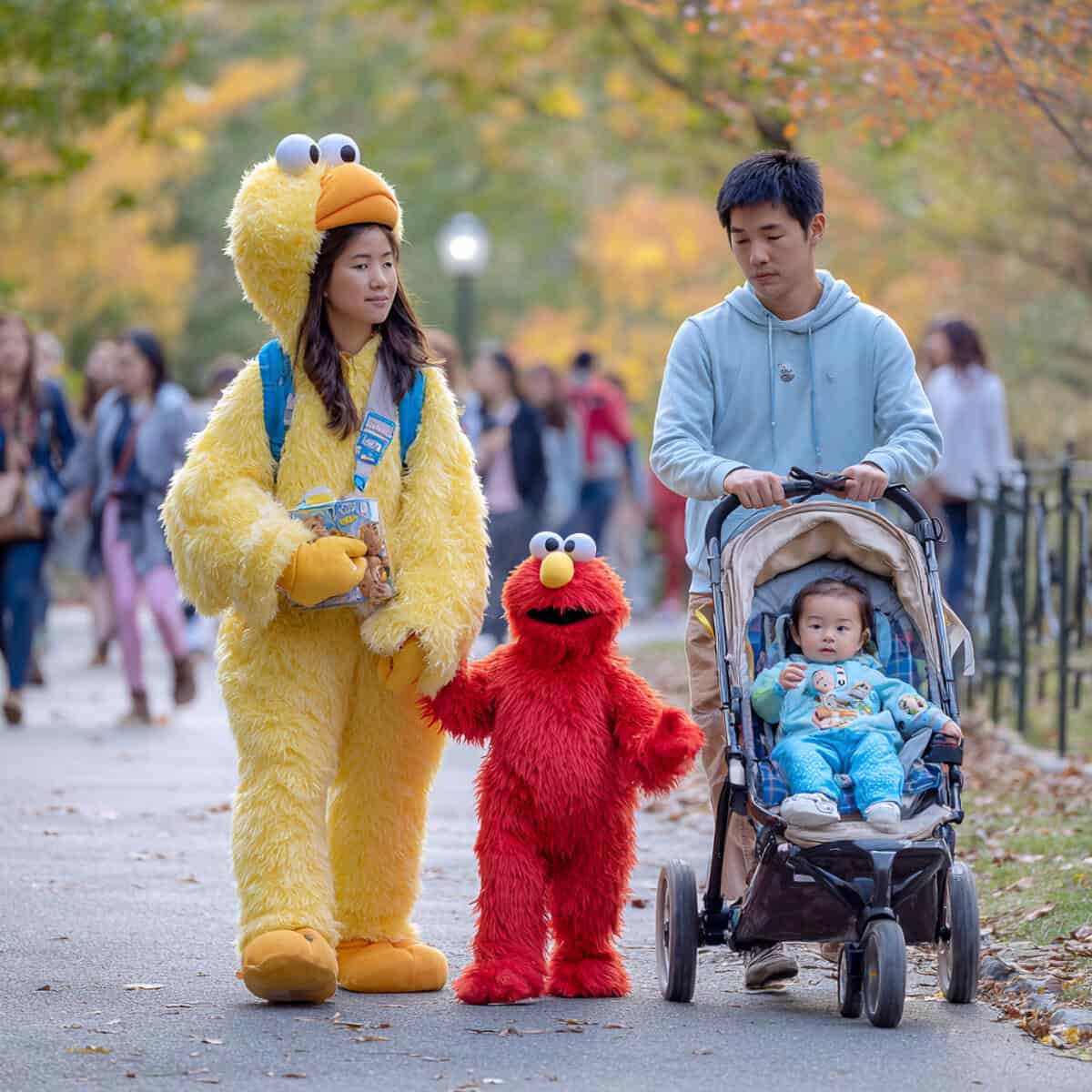TV, Comic & Cartoon Crew Themes for four | Fit Fun And Over 40 Sesame Street