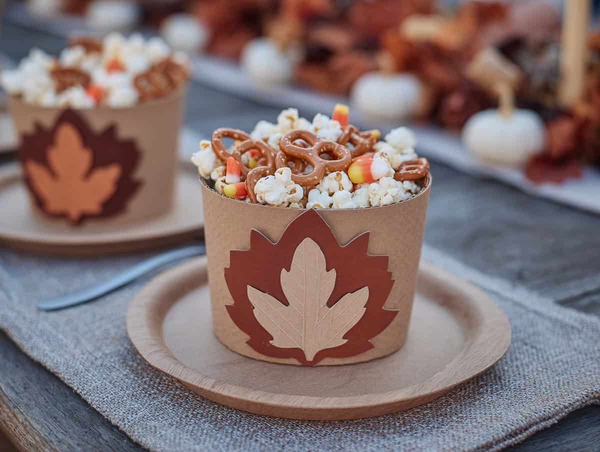 Snack Cups or Mini Boxes